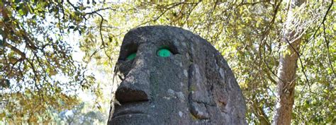 bosque encantado de orrius|El bosque encantado a media hora de Barcelona que es perfecto。